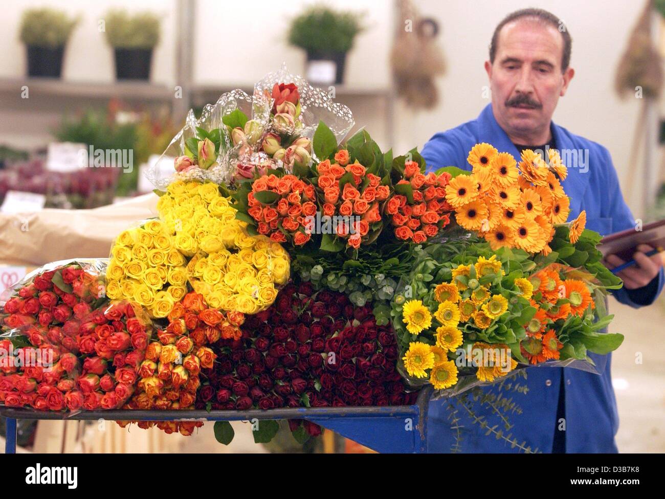 Flowers Sale In Supermarket High Resolution Stock Photography and Images -  Alamy