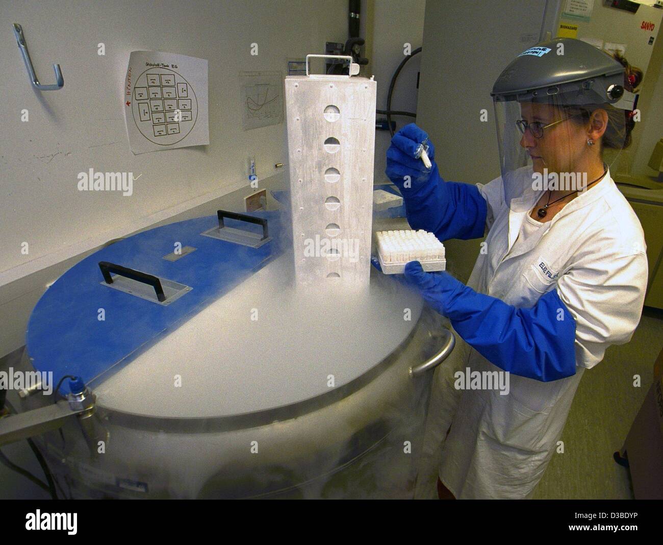 (dpa) - In a tank with liquid nitrogen at -196 degrees Celsius, samples await their treatment in the gene laboratory of the company Medigene AG in Martinsried near Munich, 16 January 2003. Since it was founded in 1994, the future-oriented company Medigene has been one of the leading biotechnological Stock Photo