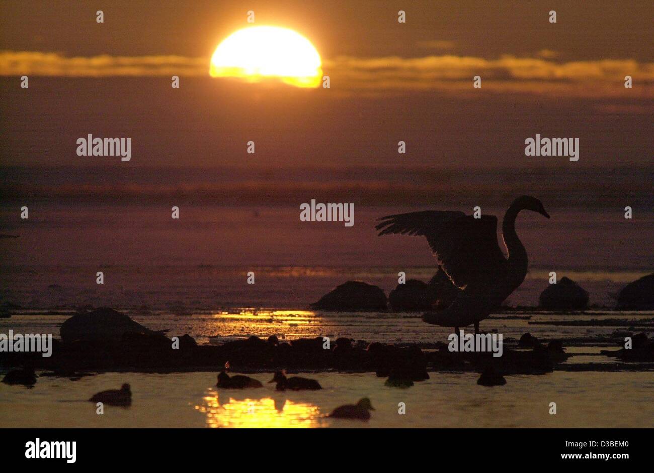 (dpa) - The sun at dusk sheds a mysterious light onto the wintery beach on which a bird stretches its wings near Wismar, Germany, 9 January 2003. Stock Photo