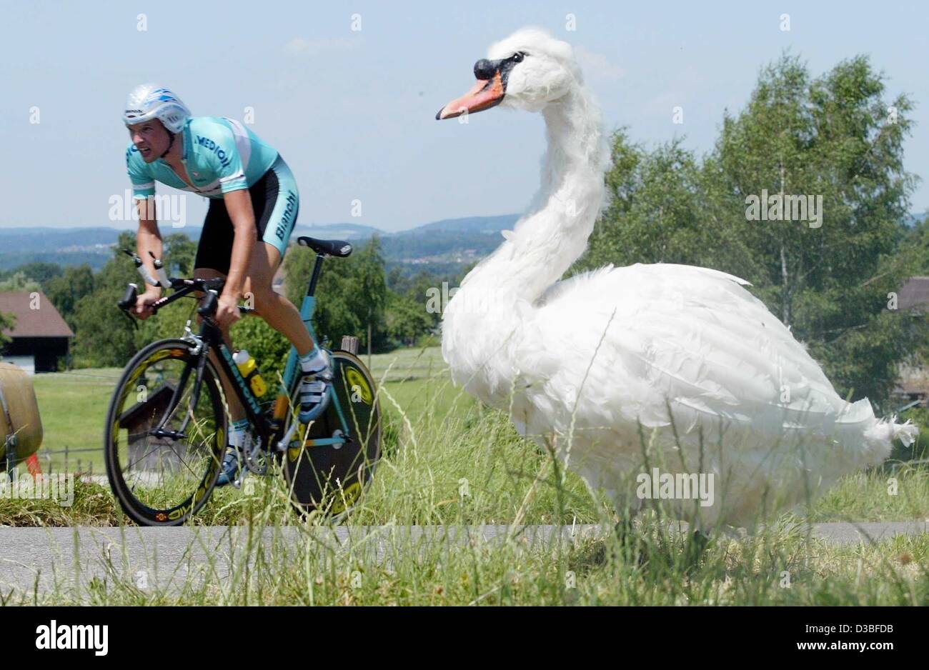 (dpa) - German cyclist Thorsten Rund of the team Bianchi rides past a stuffed swan during the eighth stage of the Tour de Suisse in Gossau, Switzerland, 24 June 2003. The 32.5 km long time trial race had its start and finish in Gossau. Stock Photo