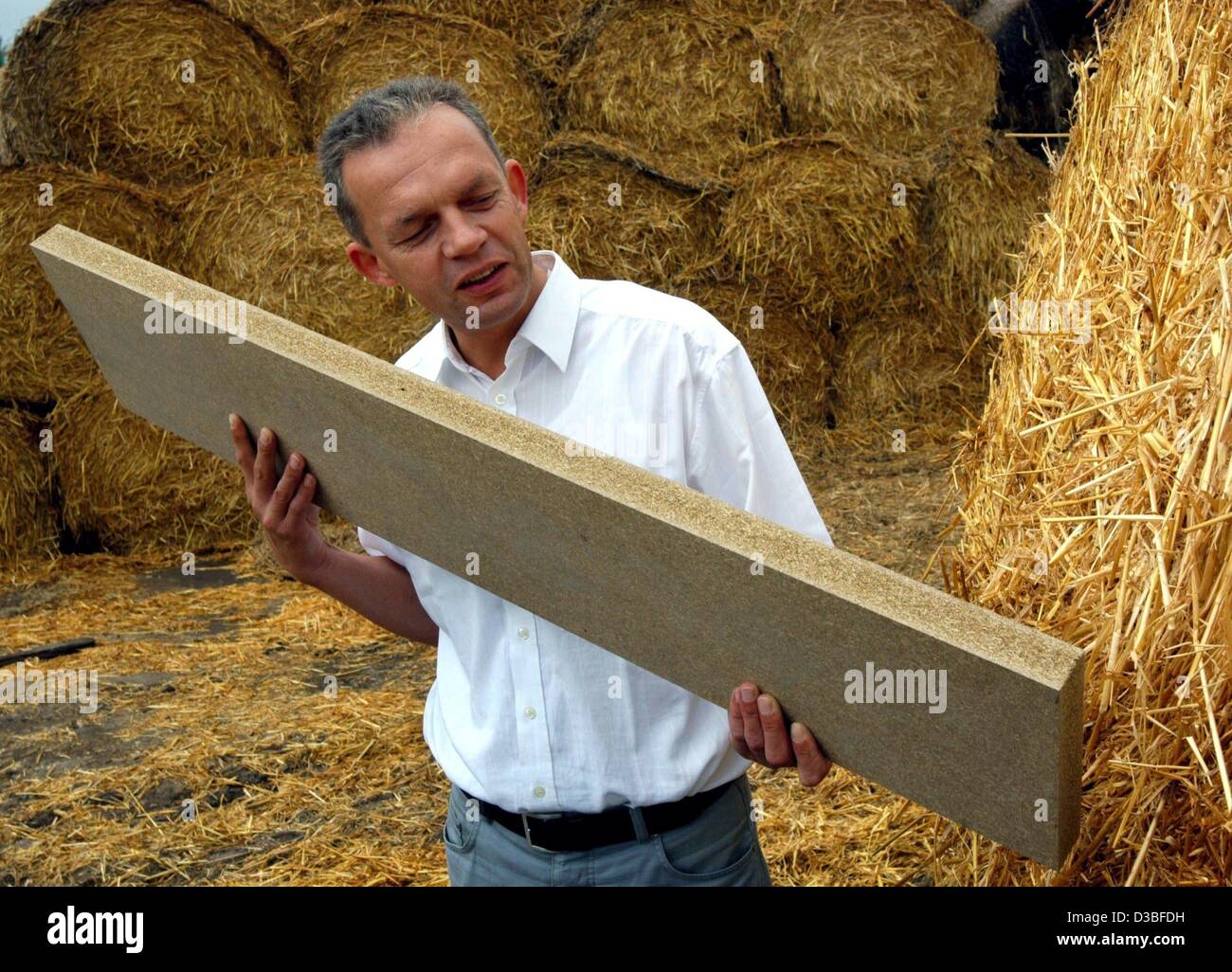 (dpa) - Matthias Mielke of Stropoly GmbH is showing a 40 millimetre strong plate made from pressed straw, Guestrow, Germany, 19 June 2003. Stropoly officially started producing the innovative building material on 20 June 2003. 30,000 tons of straw per year and binding agents are made into plates for Stock Photo