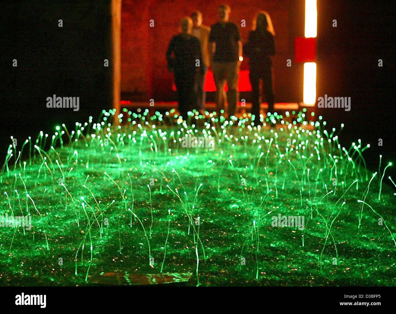 (dpa) -Visitors look at the 'light meadow' at the 15th design days in Coburg, Germany, 28 May 2003. The art work, which repeatedly changes its colour, was desiged by architecture students in their sixth semester and is made of the latest light fiber technology. Stock Photo