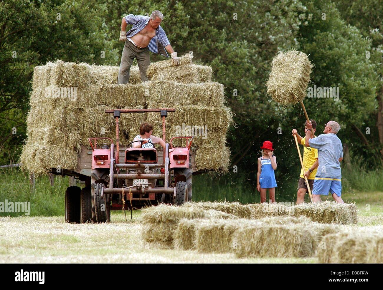(dpa) Two men are lifting hay bales with forks onto a cart where