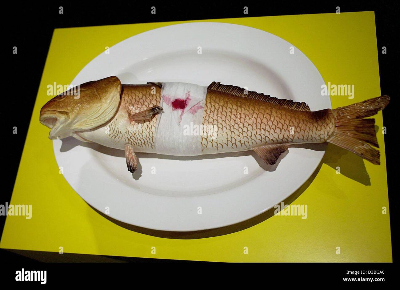 (dpa) - An injured fish with a bandage lying on a plate is a part of the installation 'Kinderzimmer' (children's room) by Hans-Peter Feldmann in the exhibition 'Das lebendige Museum' (the living museum) at the Museum for Modern Art in Frankfurt, 15 May 2003. Stock Photo