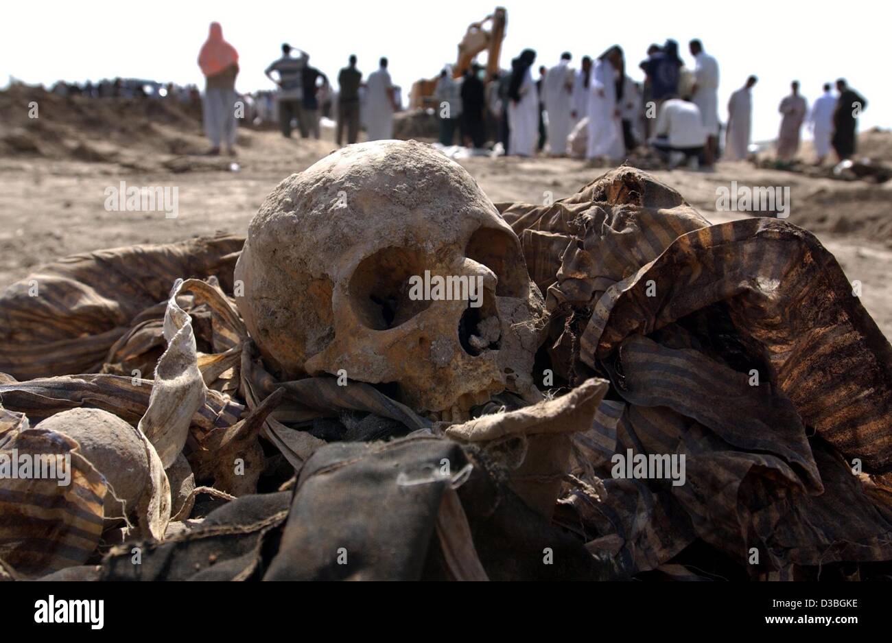 (dpa) - Human remains of bodies are being pulled from a mass grave near the village of El Khatonia, 80 kilometers south of Baghdad, 14 May 2003. Groups of Iraqis searched through thousands of plastic bags containing the remains of Iraqi soldiers and some civilians who were discovered in the mass gra Stock Photo