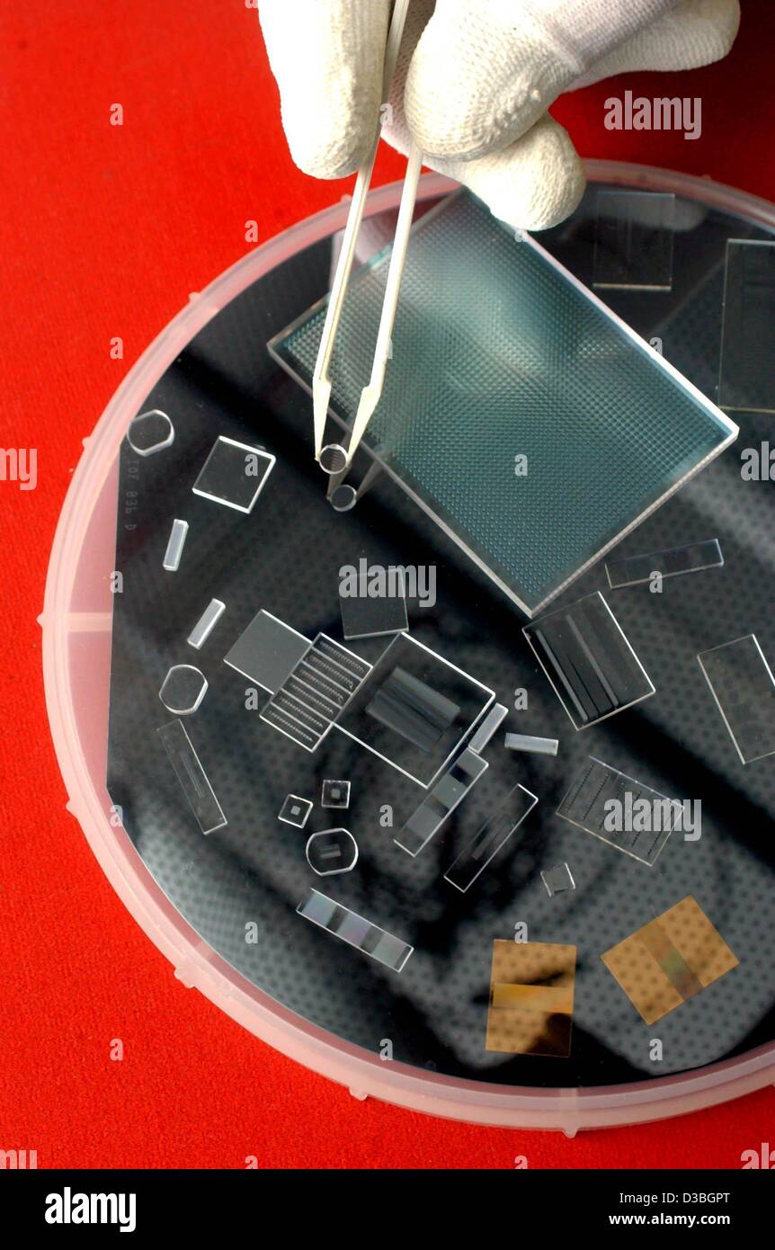 (dpa) A hand uses a pair of tweezers to organise tiny lenses, grids