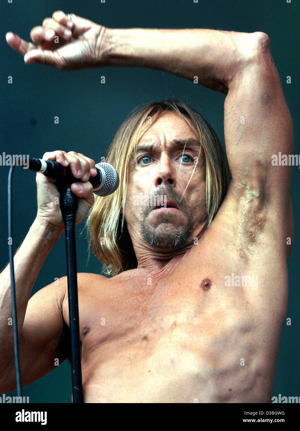 dpa) - The US punk legend Iggy Pop performs during his only concert in  Germany, in Hamburg, 15 June 2003. The excentric 56-year-old stayed on  stage for one hour and presented songs