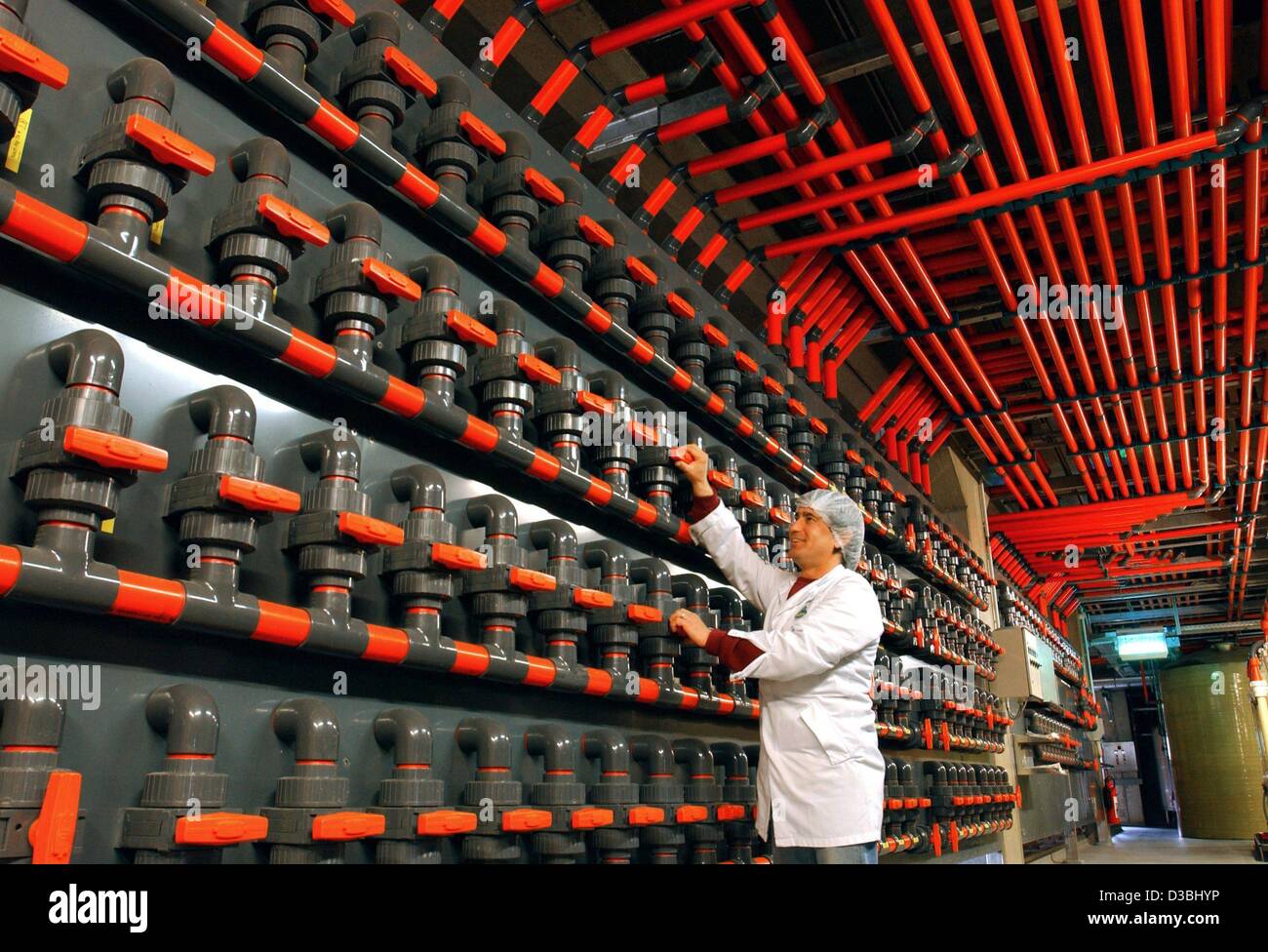 (dpa) - An employee of Carl Kuehne KG is fixing a valve at the vinegar filtering plant, Hagenow, Germany, 3 April 2003. With a yearly output of 38 million litres of vinegar, the factory is the most productive one in Germany, says Kuehne. Stock Photo