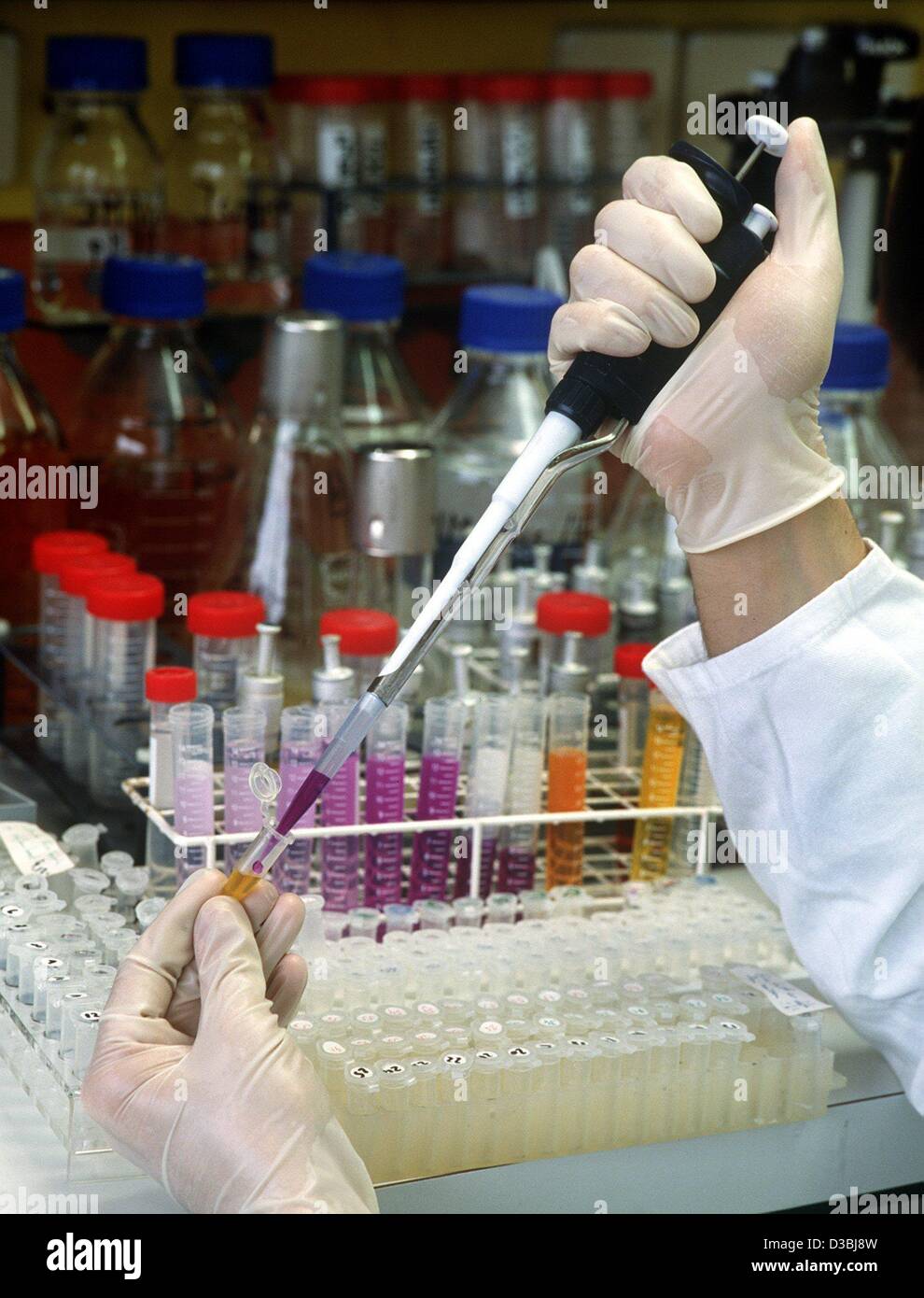 (dpa) - The hands of a scientist fill a test tube with a molecular ...