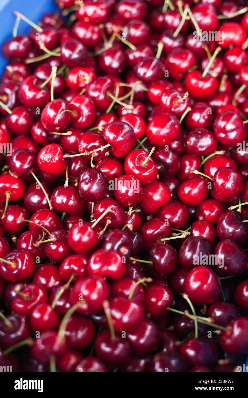Fresh cherries at Albany Farmers Market. Albany, Western Australia, Australia Stock Photo
