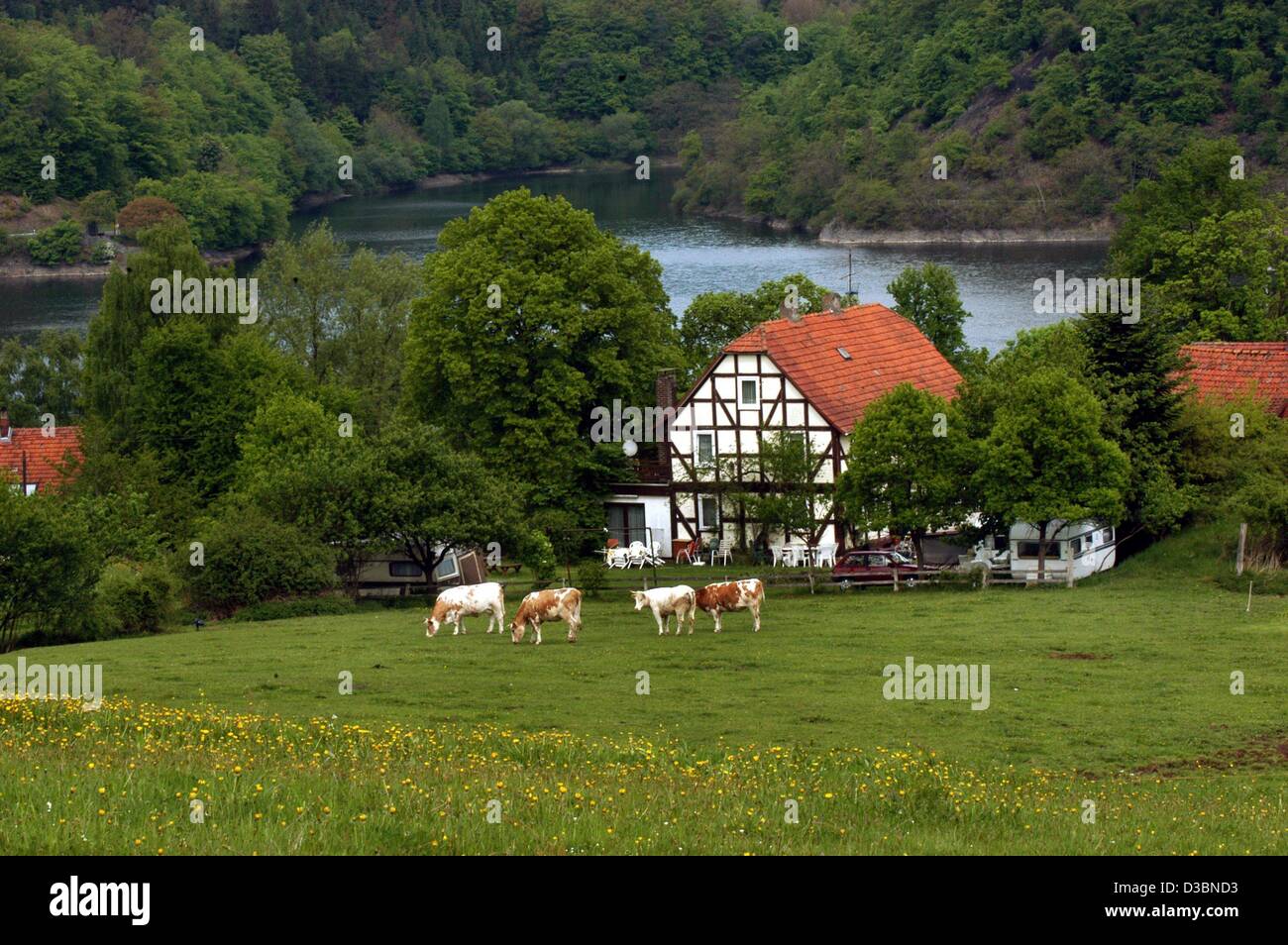 (dpa) - A view of Asel on Edersee Lake, central Germany, 14 May 2003. The region of the Kellerwald Forest is to be declared a National Park, the regional government of the state of Hesse declared in March 2003. The park will comprise a surface of 5,700 hectar south of the Edersee Lake. Stock Photo