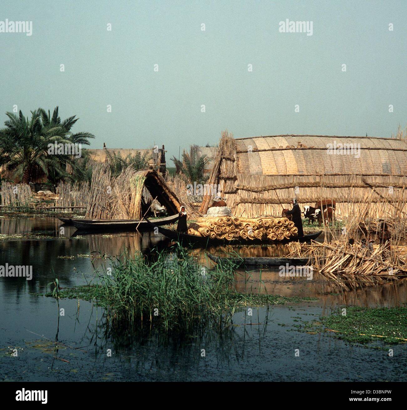 (dpa files) - Huts made of reed are standing on a small isle in the marshy land between the rivers Euphrates and Tigris in Iraq (undated). Stock Photo