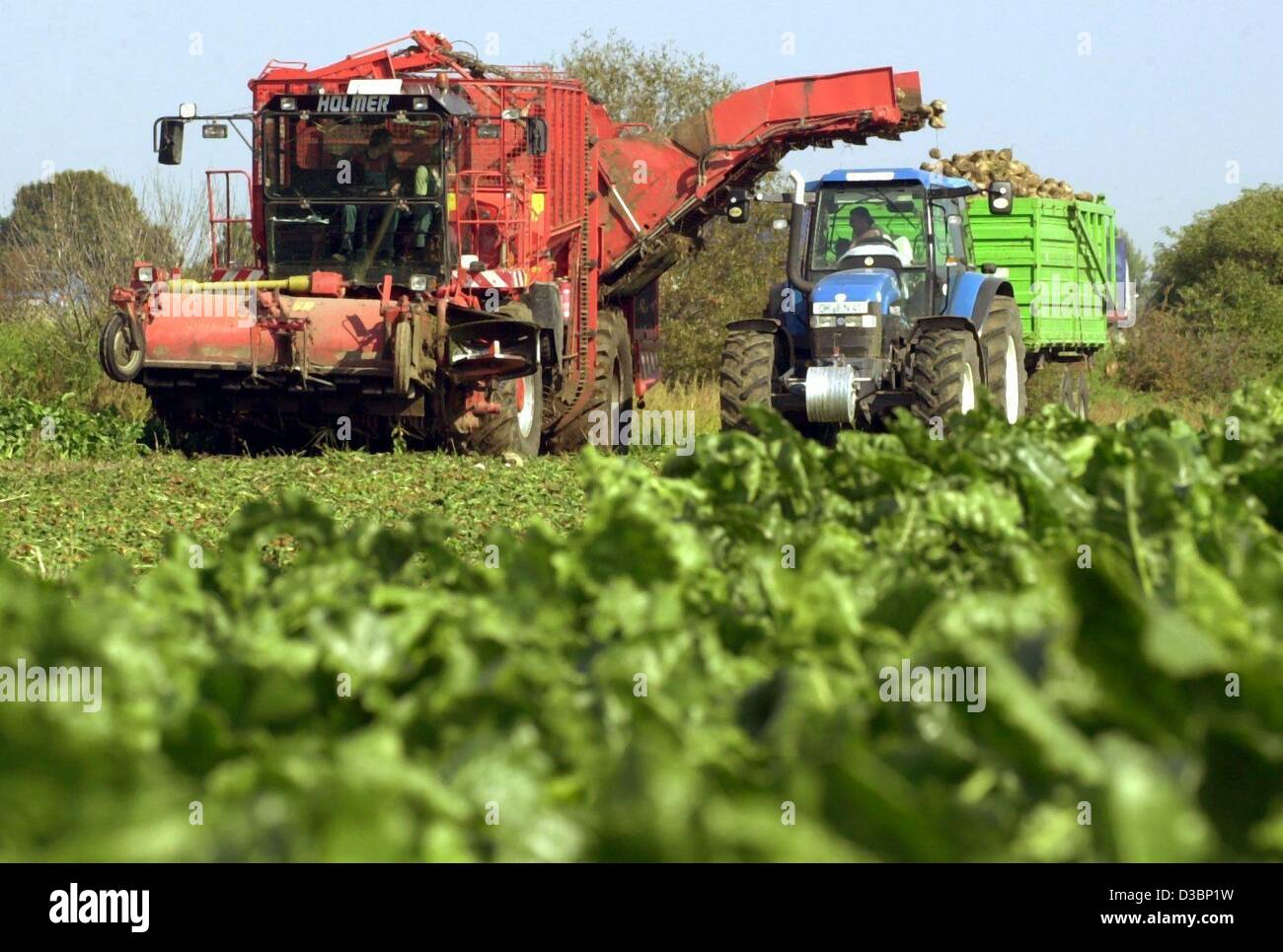 Ebf Farming Roya Economy business finance ebf agriculture field farming sugar beet ...