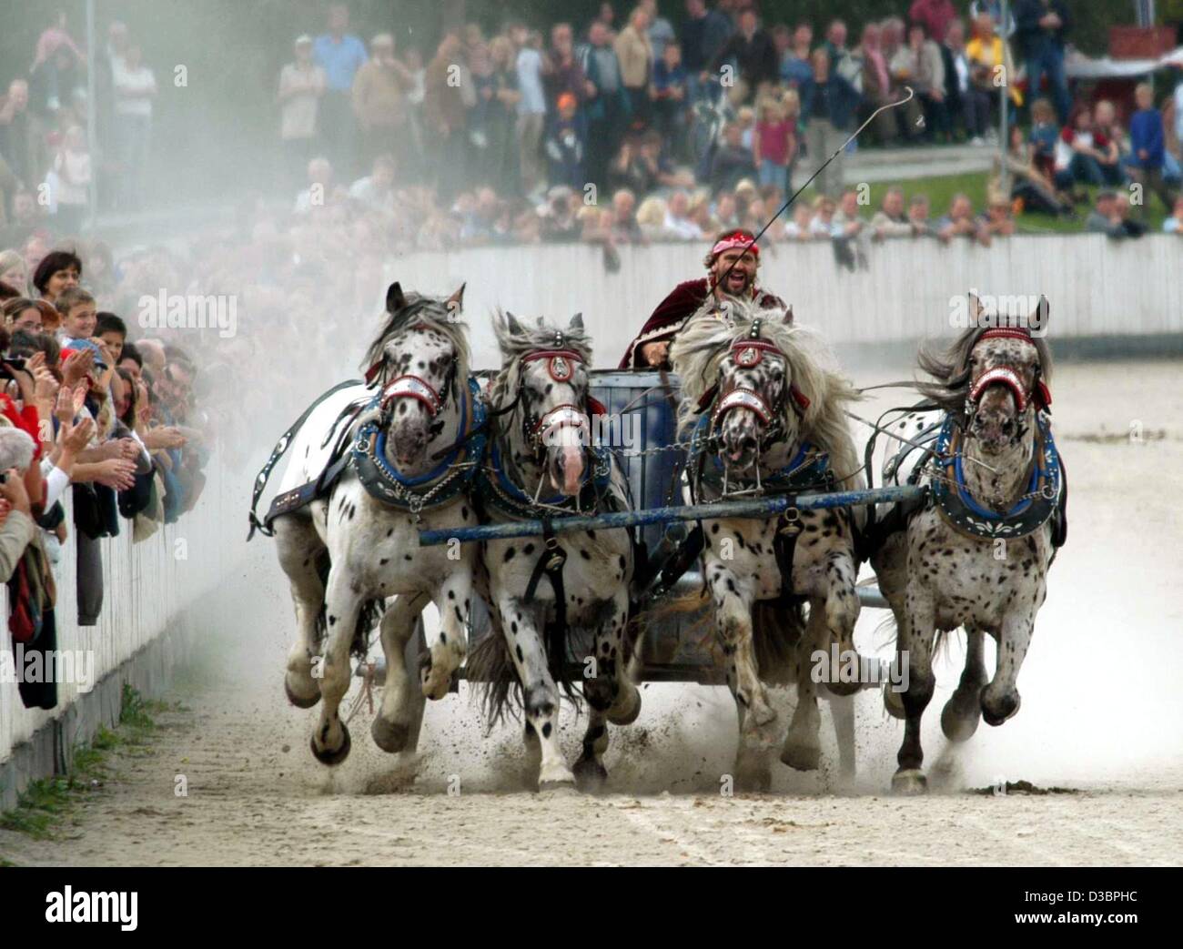 (dpa) - A Roman chariot races past spectators during the Quadriga Day at the horse race track in Pfarrkirchen, Germany, 3 October 2003. The chariots with 4 hp reach up to 70 kmph. Stock Photo