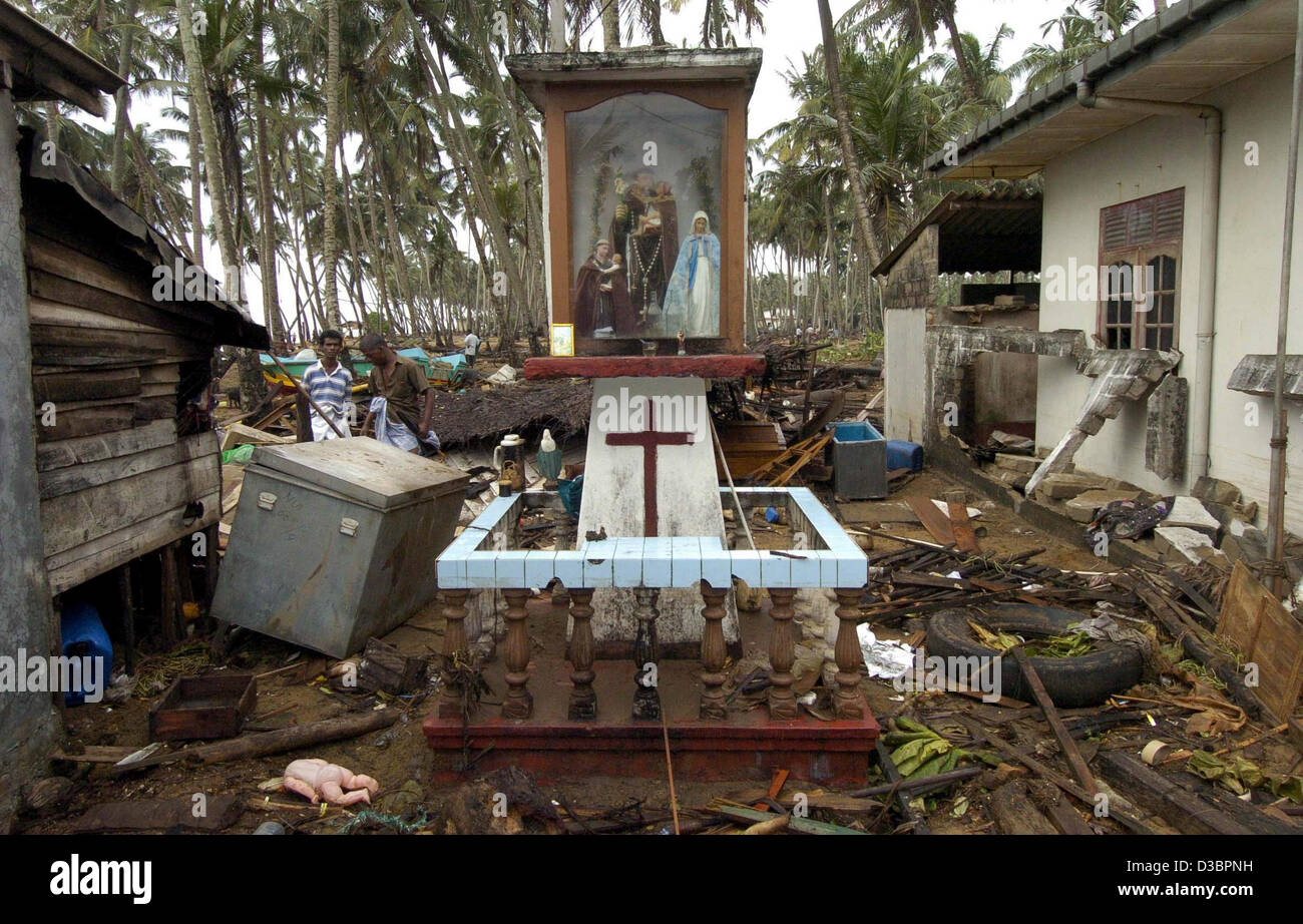 (dpa) - A catholic shrine stands within destroyed houes in Muratuwa, south of the capital Colombo, Sri Lanka, 28 December 2004. The coast of Sri Lanka was one of the areas most affected by the devastating tsunami that up to now has caused the death of over 60,000 people in southern Asia. Stock Photo