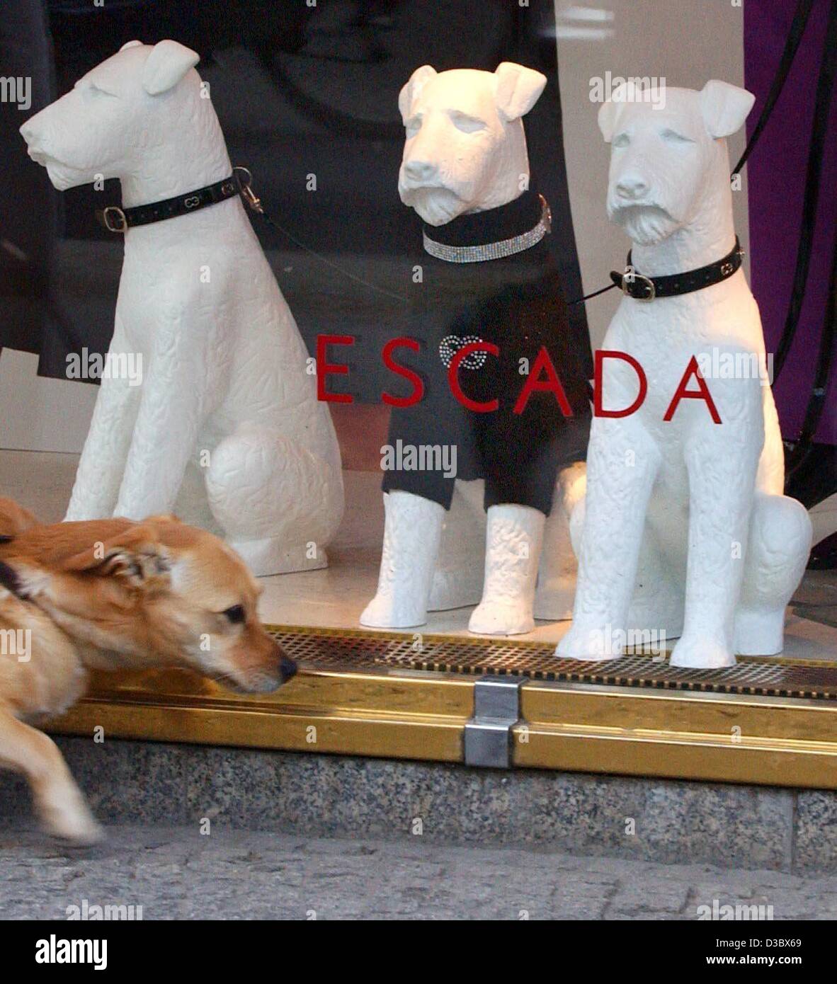 (dpa) - A dog passes four shopwindow dog-dummies in a shop of the fashion company Escada in Berlin, 18 August 2003. The Munich-based company announced during an extraordinary general meeting in Munich on 19 August 2003 that it has reached an agreement with the consortium banks and backed its finance Stock Photo