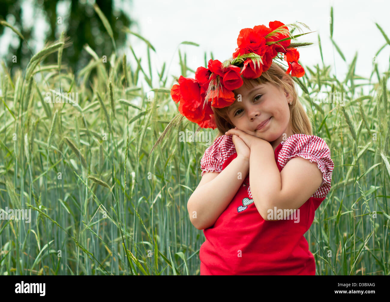 Beauty In Nature, Horizon Over Land, Outdoors, Close-up, Blond Hair, Daughter, Offspring, Poppy, Wheat, Summer, Rural Scene, Stock Photo