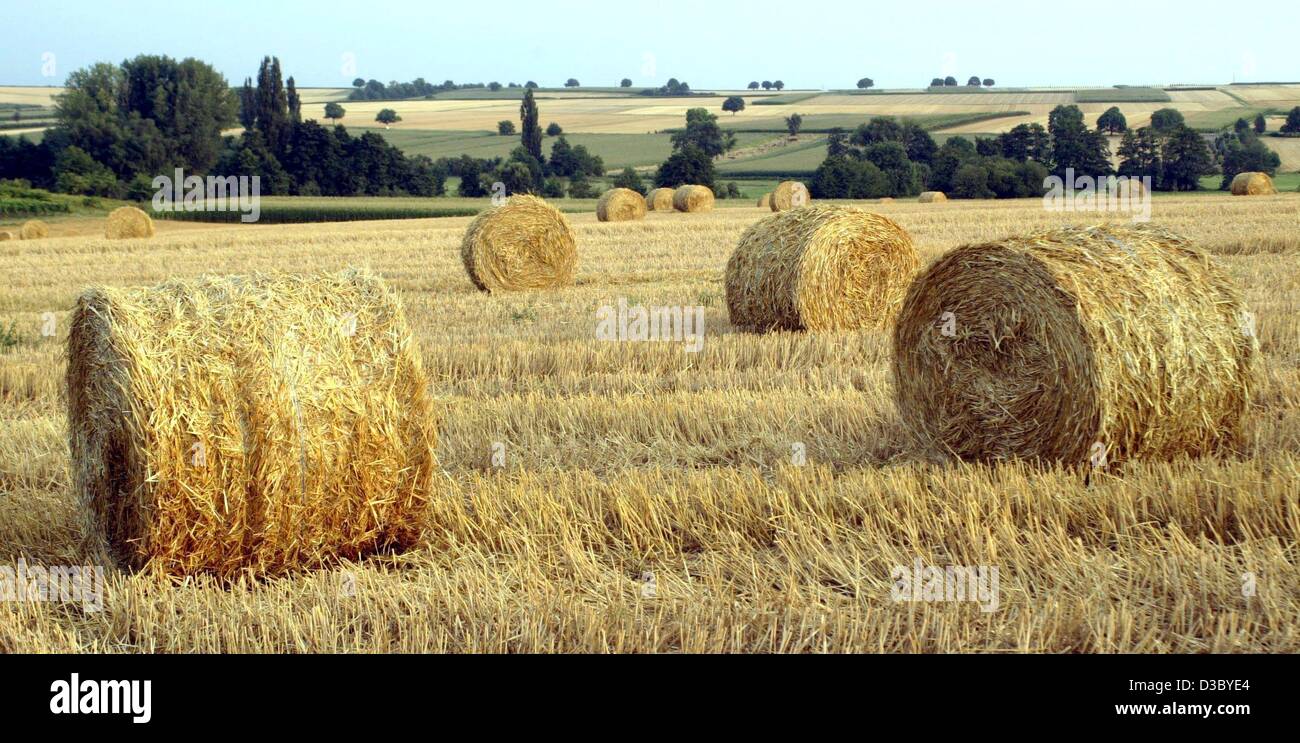 Economy business finance ebf agriculture hay bale straw field harvest