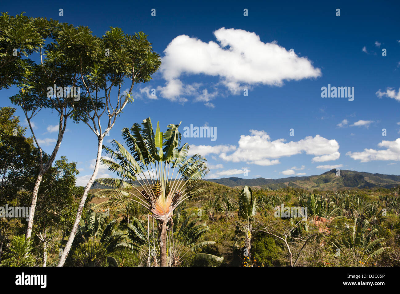 Madagascar, Ranomafana, view over deforested hills from Cristo Hotel Stock Photo