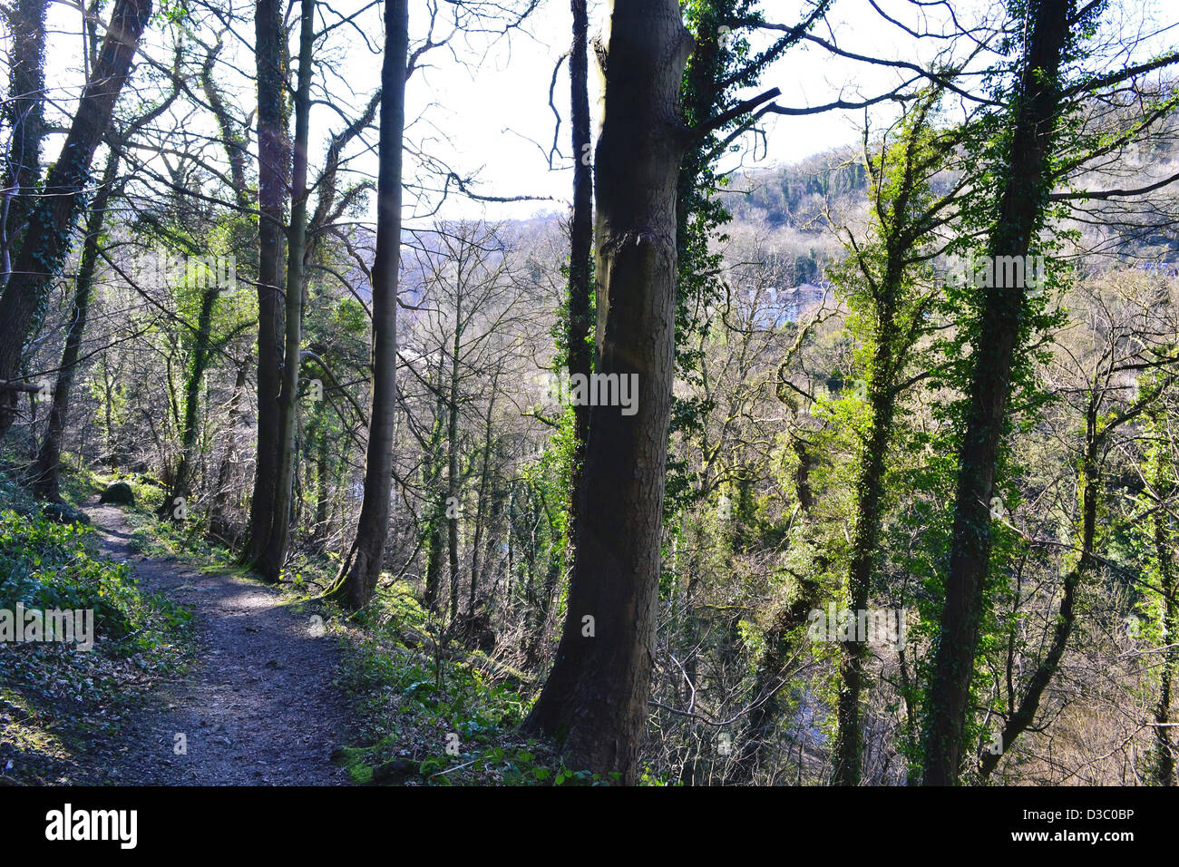 Side Root to the heights Stock Photo - Alamy