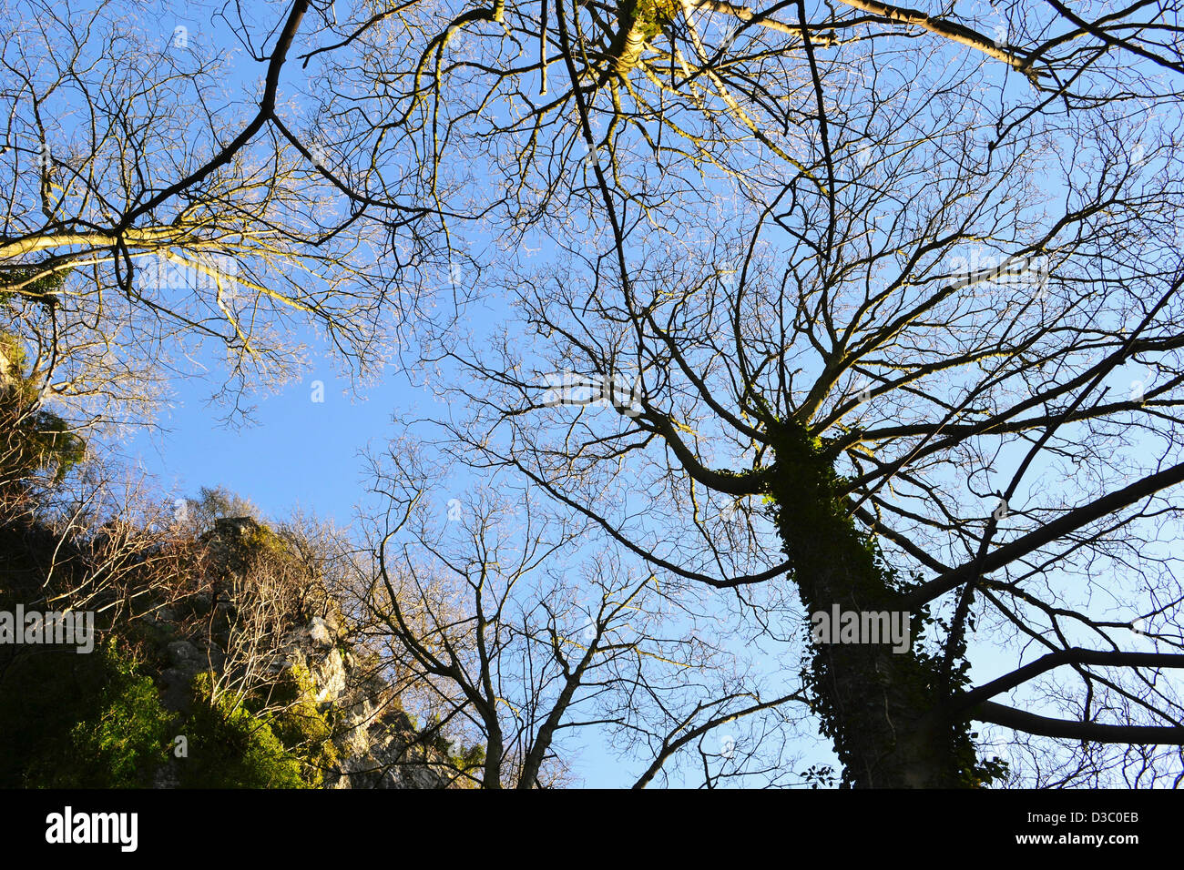 Reach for the Sky Stock Photo - Alamy