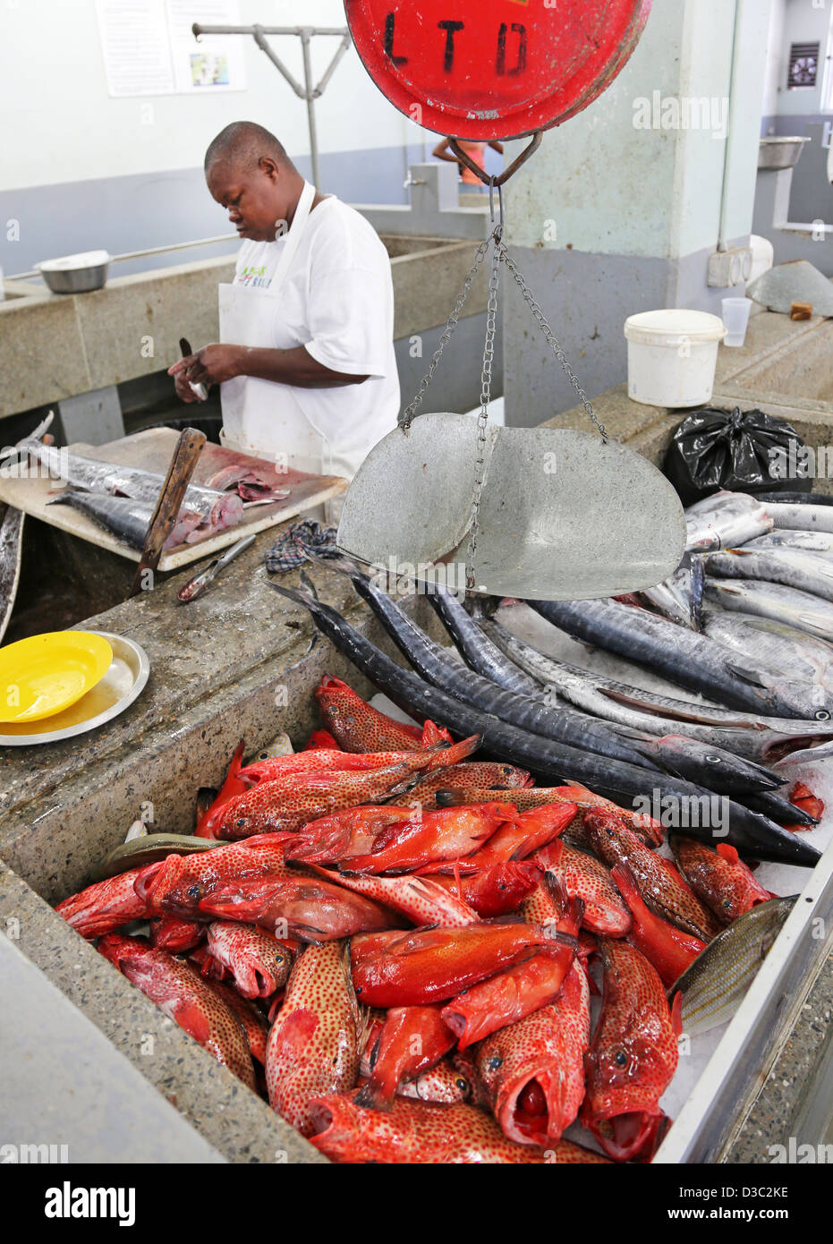 RED SNAPPER AND TUNA FISH,KINGSTON FISH MARKET,ST.VINCENT,CARIBBEAN Stock Photo