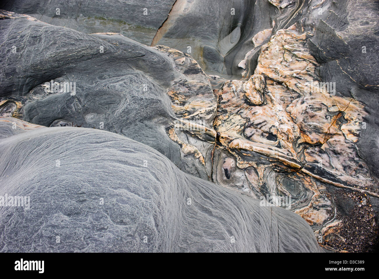 Polished Natural Metamorphic Rock Photo Slate 4X8IN