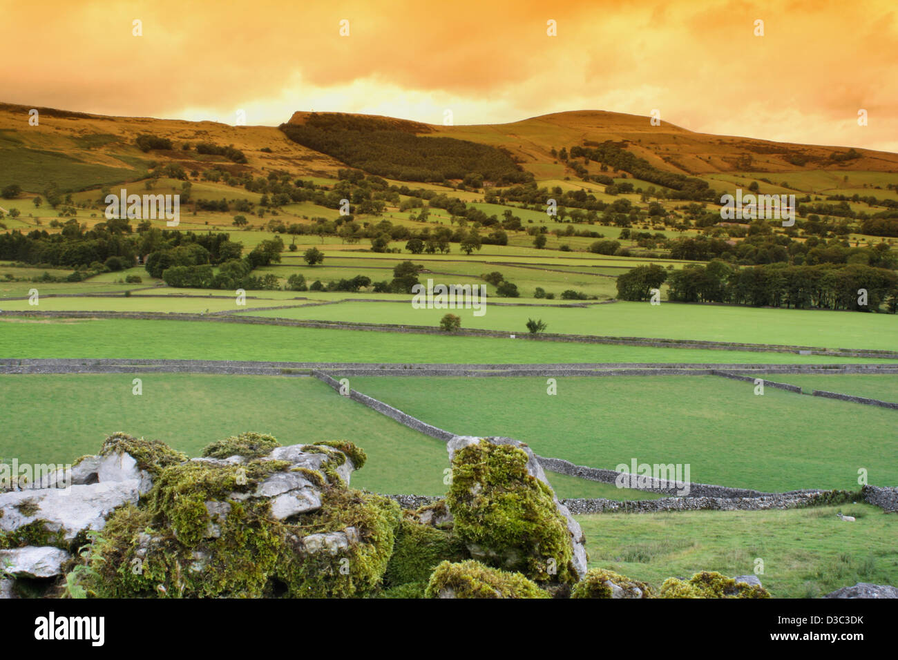 Great Ridge Castleton Dry stone walls in fields around Castleton and great ridge in the Hope ...