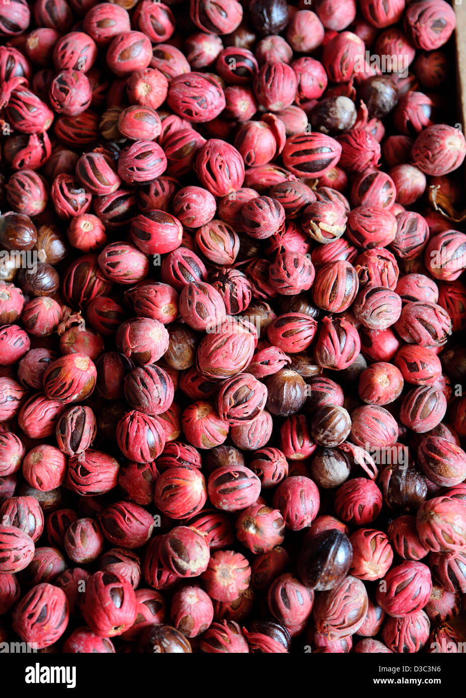 FRESH NUTMEG WITH MACE, CARIBBEAN Stock Photo Alamy