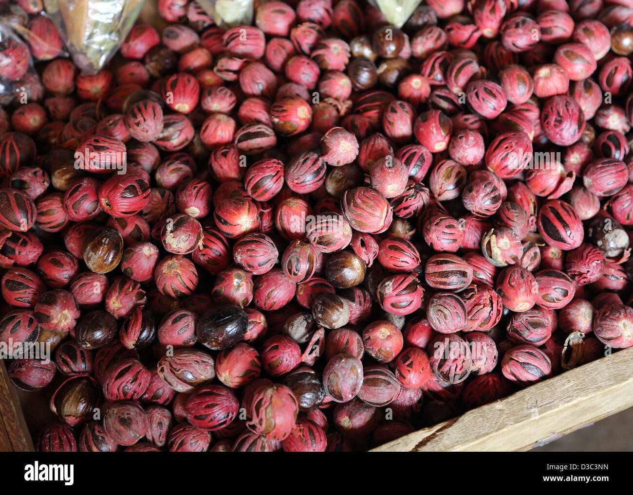 FRESH CARIBBEAN NUTMEG WITH MACE Stock Photo Alamy