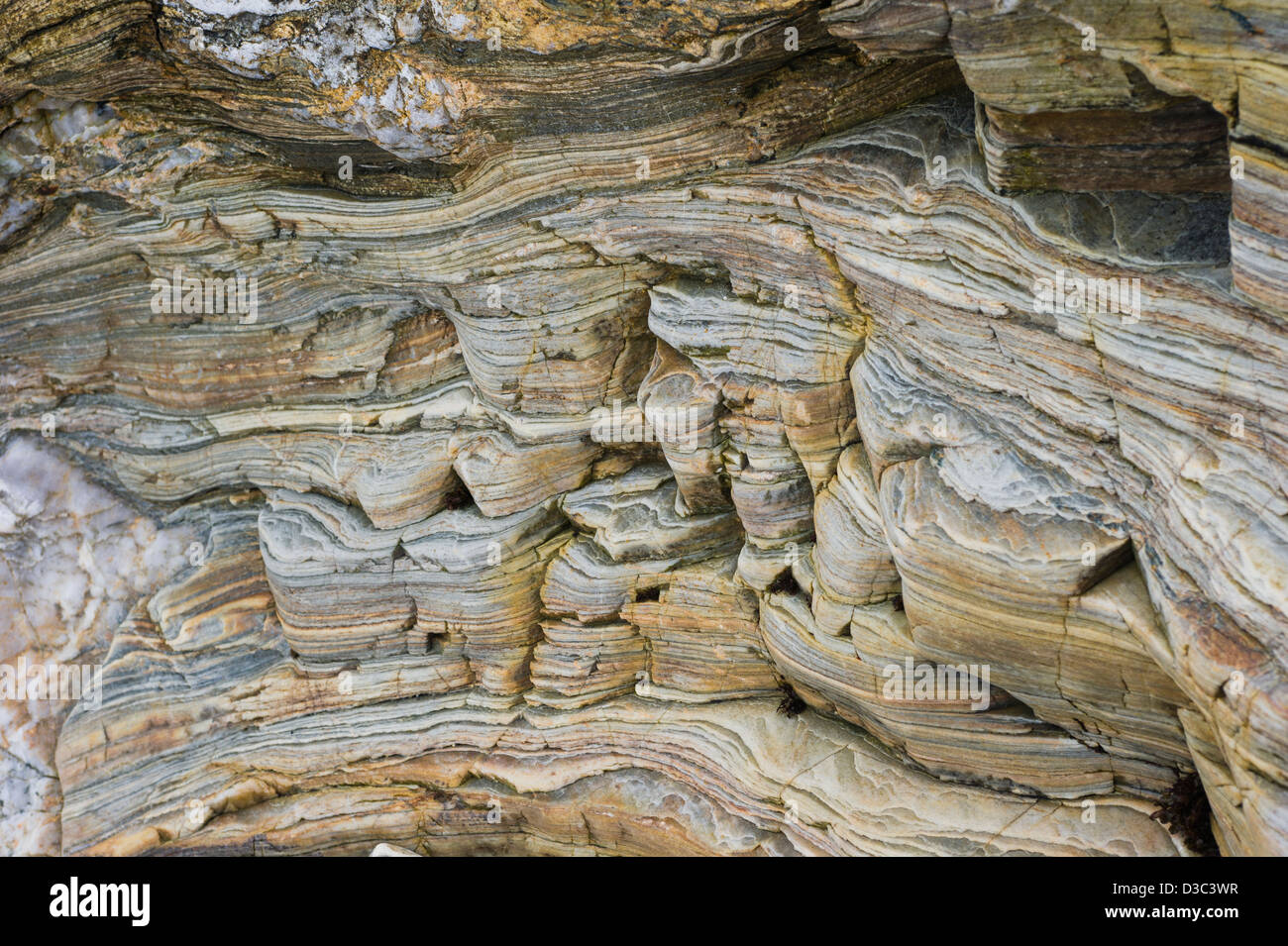 Quartzite rock layers showing two series of fraction joints, Norway