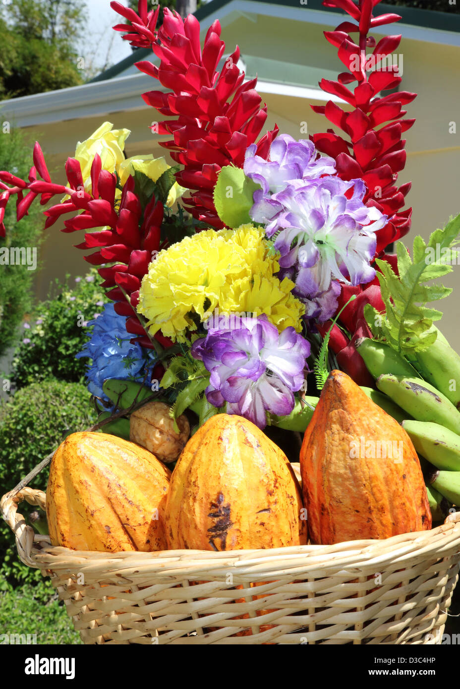 TROPICAL FRUIT AND FLOWERS Stock Photo