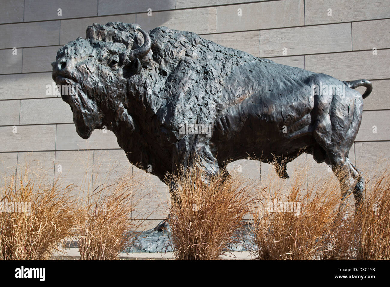 Bison buffalo sculpture hires stock photography and images Alamy