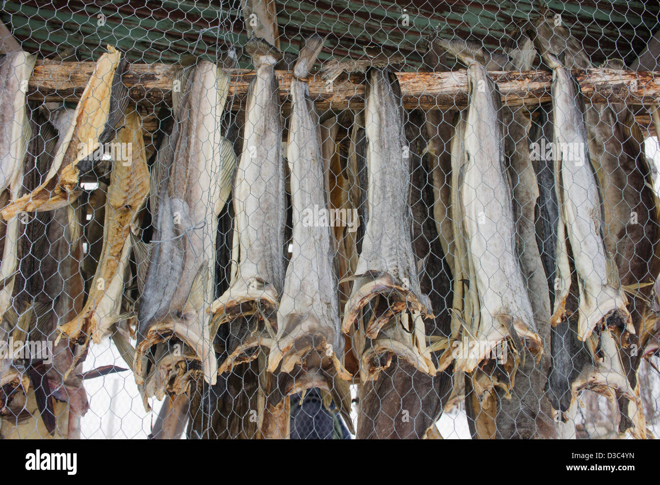 Norwegian stock fish - dried Cod — Bon Food