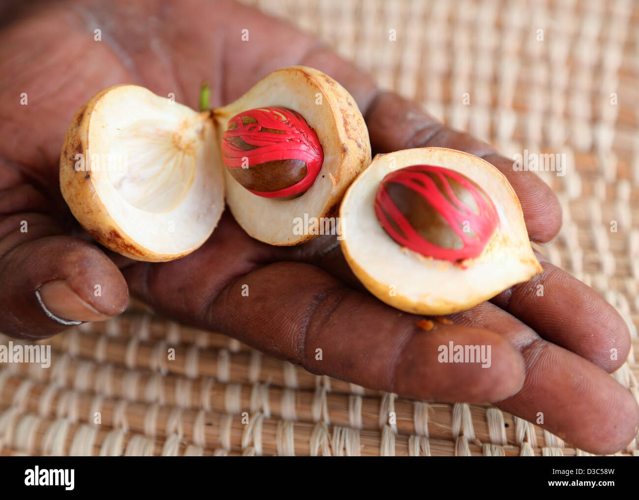 FRESH NUTMEG WITH MACE Stock Photo Alamy