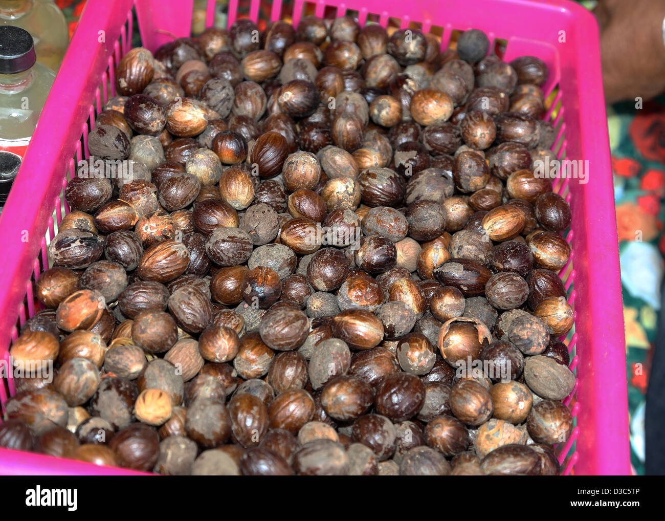 CARIBBEAN NUTMEG WITH MACE,DOMINICA Stock Photo Alamy