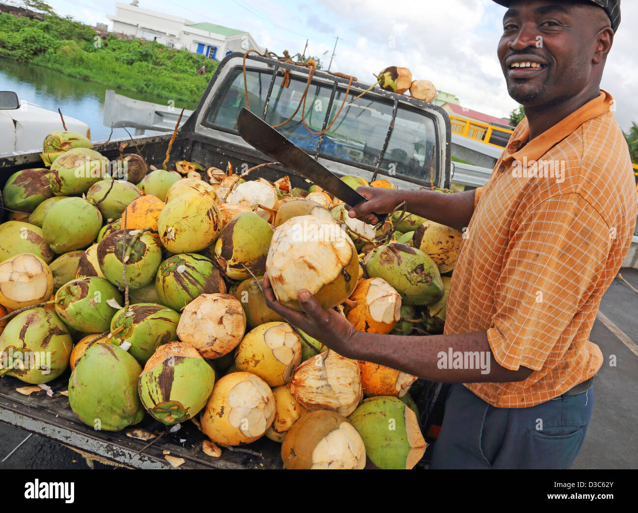 CARIBBEAN,MAN SELLING FRESH COCONUTS,DOMINICA Stock Photo