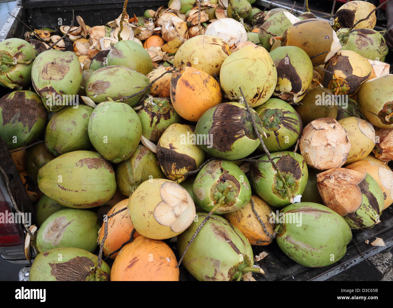 FRESH CARIBBEAN COCONUTS Stock Photo Alamy
