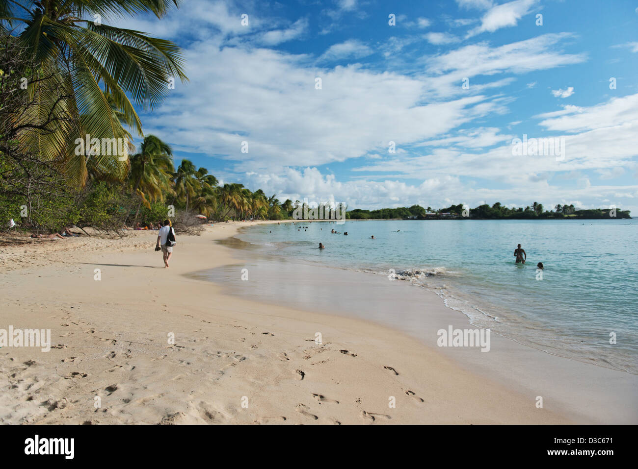 Plage des Salines, Sainte Anne Beach, Martinique Island, Lesser Antilles,  Caribbean Sea, France Stock Photo