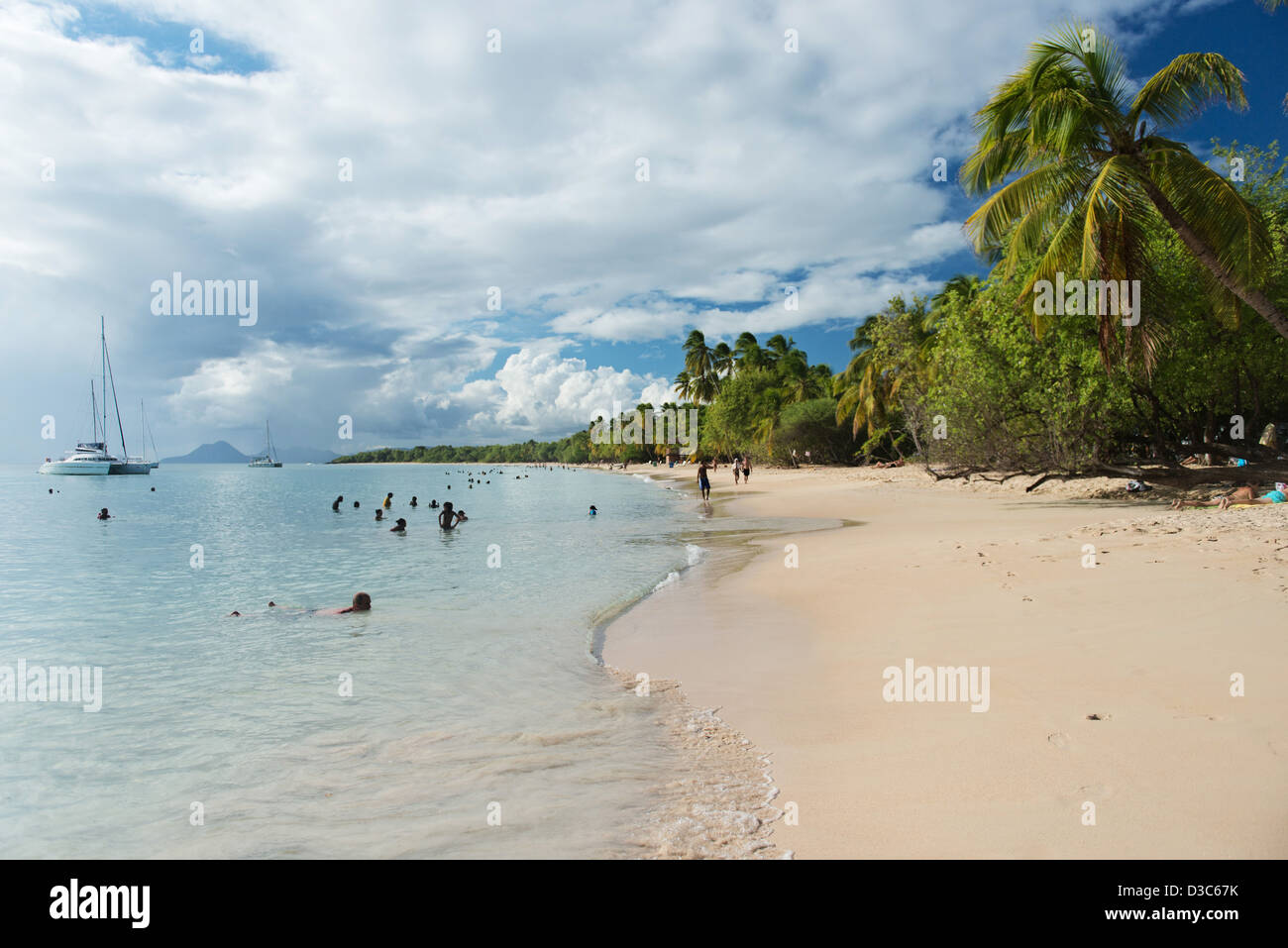 Plage des Salines, Sainte Anne Beach, Martinique Island, Lesser Antilles,  Caribbean Sea, France Stock Photo