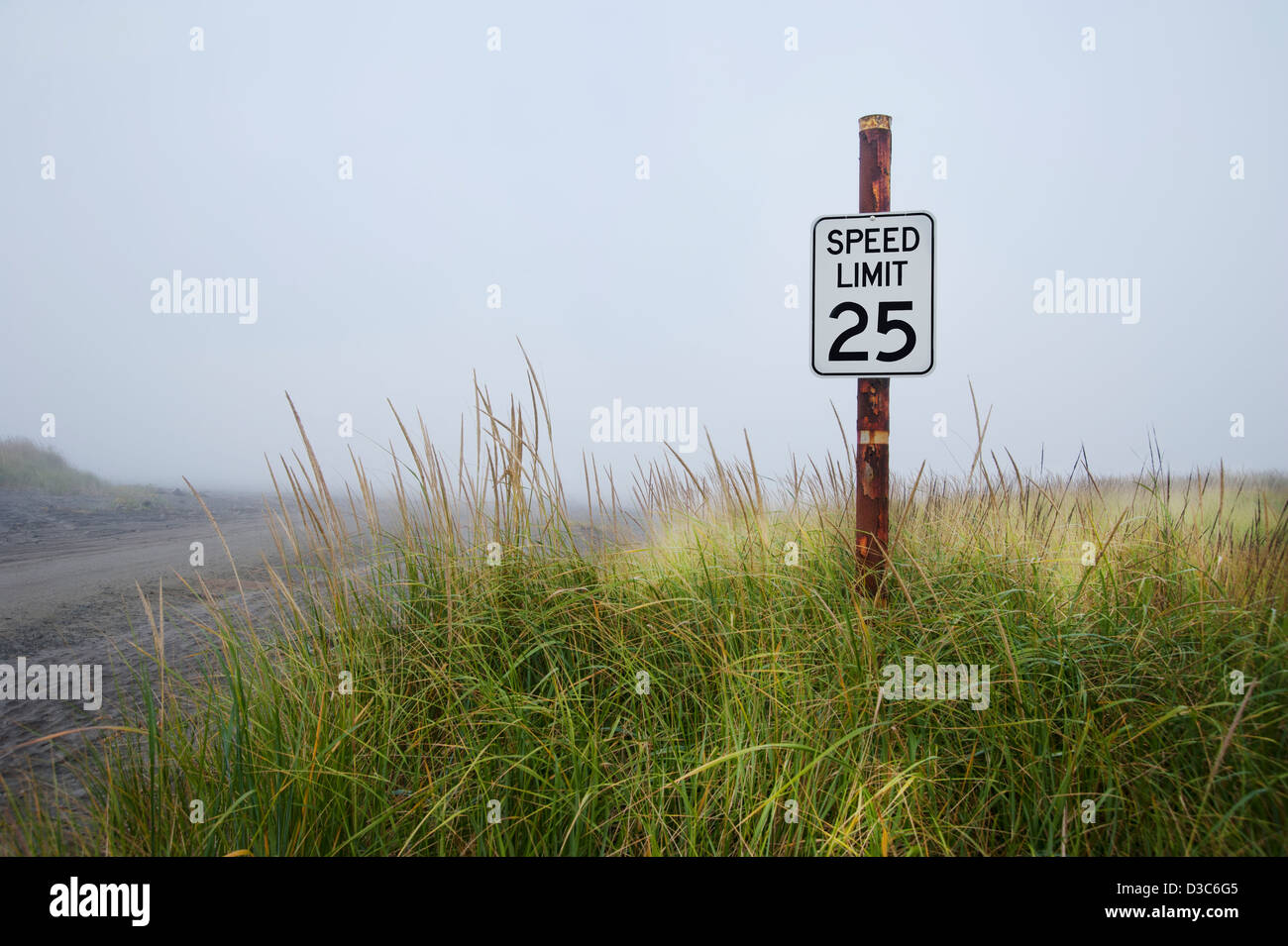 A speed limit sign amongst grasses on the beach where you can drive a