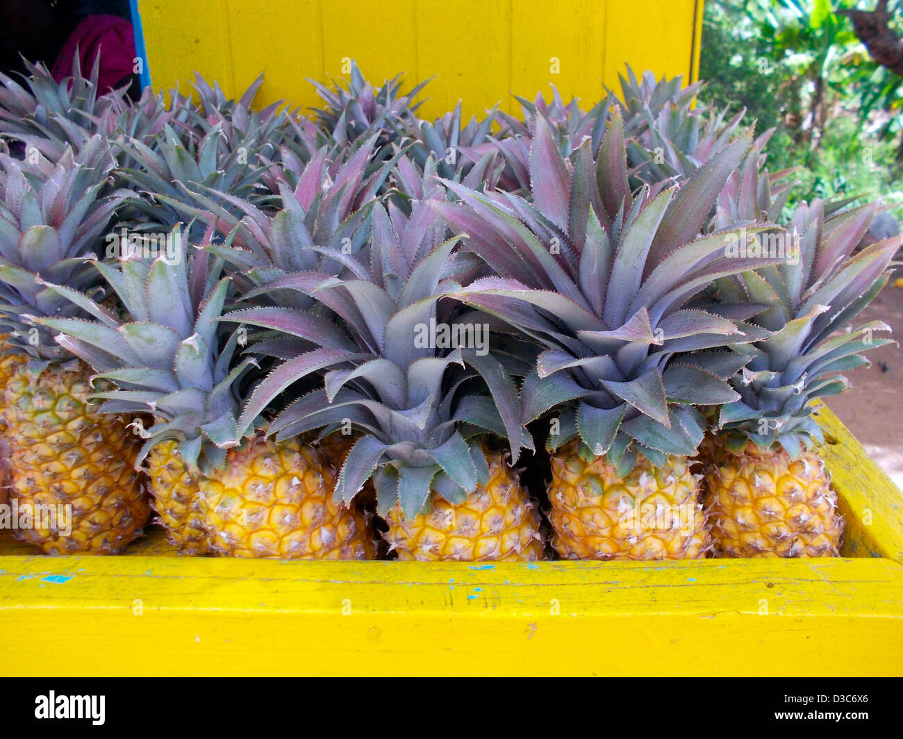 PINEAPPLES,CARIBBEAN FRUIT STALL,ANTIGUA Stock Photo Alamy