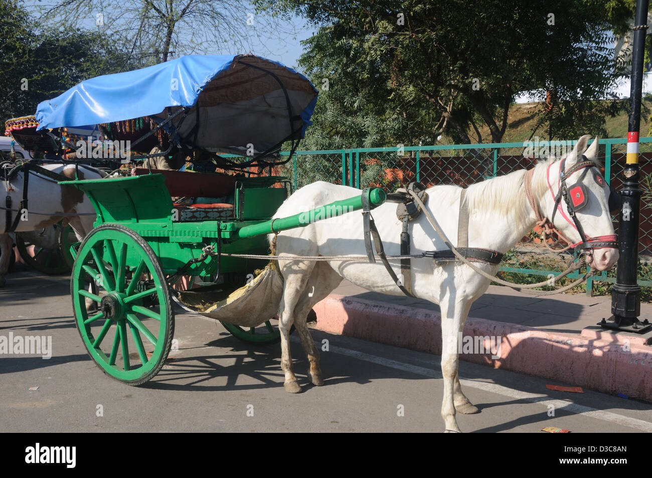 A Horse Cart at Agra, Uttar Pradesh, India Stock Photo Alamy