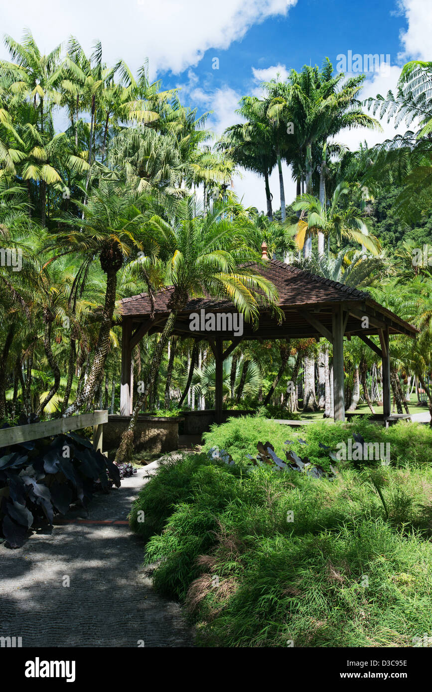 Botanical garden of Balata, Jardin de Balata, Martinique Island, Lesser Antilles,  Caribbean Sea, France Stock Photo