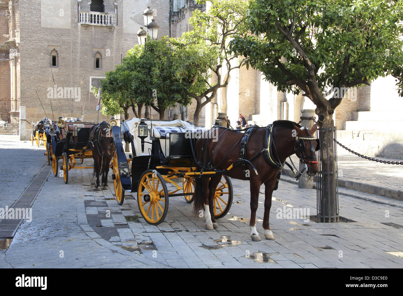 Plaza del Triunfo, Seville, Spain, Andalusia, Unesco, World Heritage Site Stock Photo