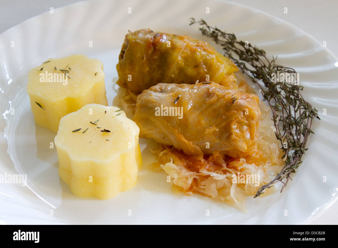 Romanian traditional cuisine, sarmale (rolls stuffed cabbage with meat) Stock Photo