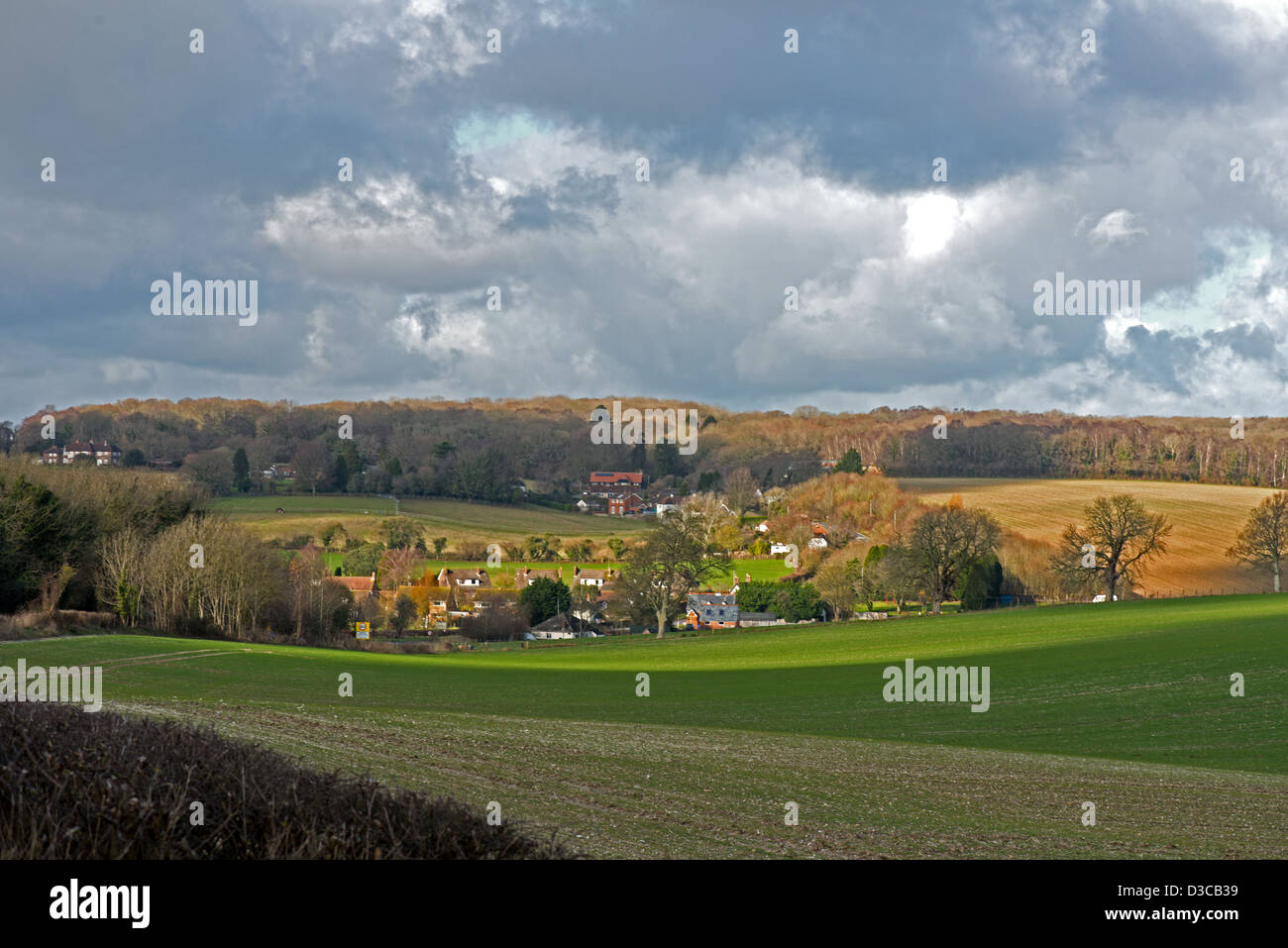 A landscape of Tarrant Keynston.  Dorset England. Uk Stock Photo