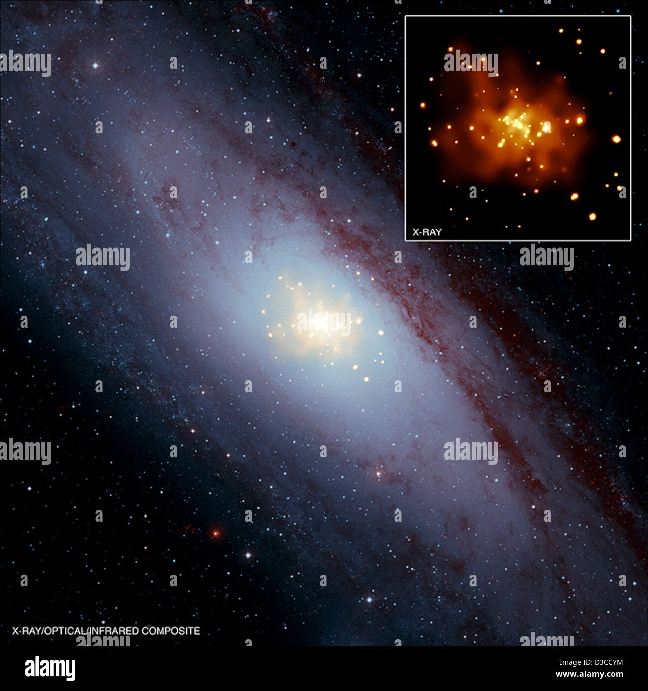 Andromeda Galaxy: Insights on White Dwarfs (NASA, Chandra, 02/17/10) Stock Photo