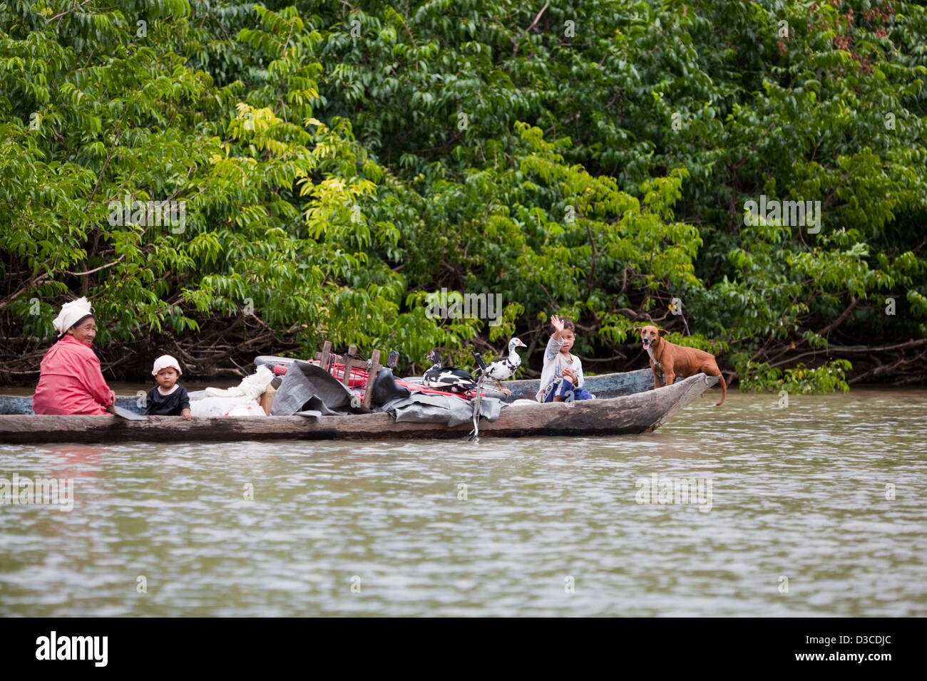 Amerindian family, leaving village, in canoe plus dog, ducks (domestic Moscovy) and chattels. Relocating to their farm cleared forest plot. Stock Photo