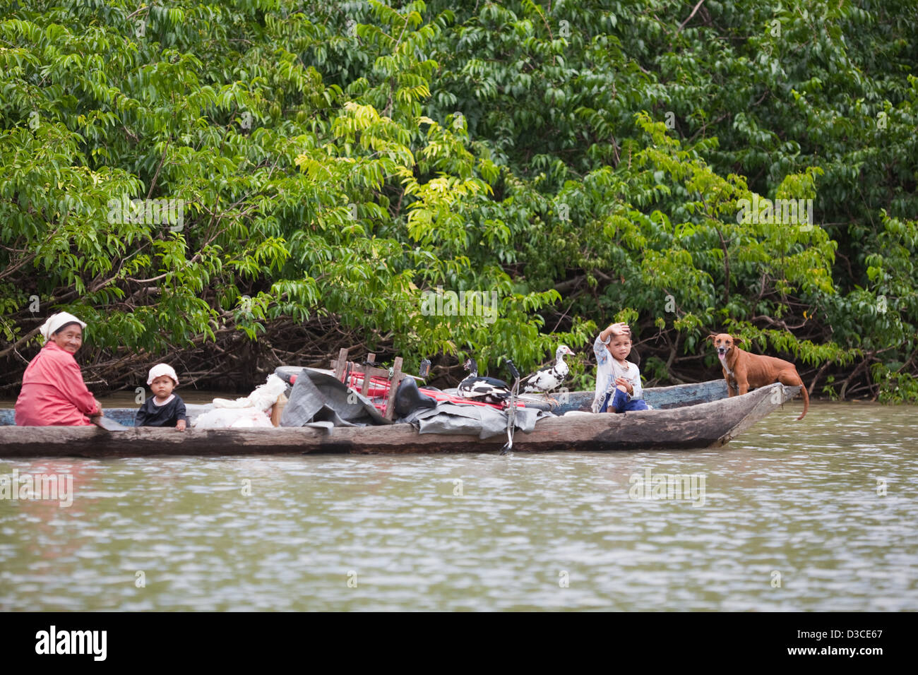Amerindian family, leaving village, in canoe plus dog, ducks (domestic Moscovy) and chattels. Seasonal relocating to their agricultural farm plot. Stock Photo
